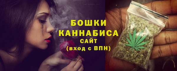 сатива Верея