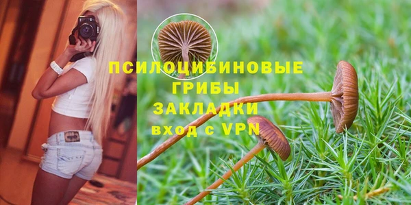 прущие грибы Володарск