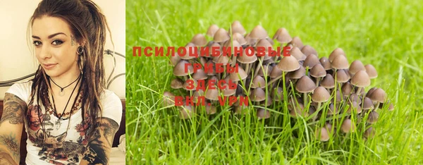 прущая мука Волоколамск