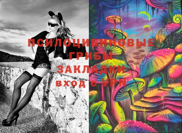 прущие грибы Володарск
