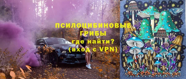 прущие грибы Володарск